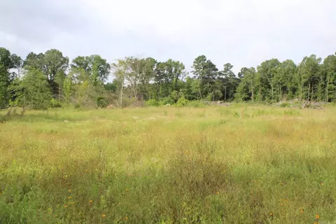 1442 Schaal Rd, Mineral Sprs, AR 71851