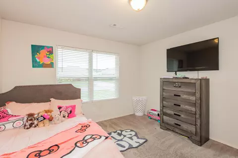 Bedroom - 6081 Saddle Hill Dr, Alexander, AR 72002 photo 11 of 12