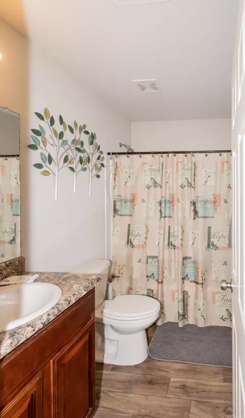 Bath - 6081 Saddle Hill Dr, Alexander, AR 72002 photo 3 of 3