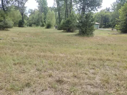 000 Frances Cv, Mountain View, AR 71560