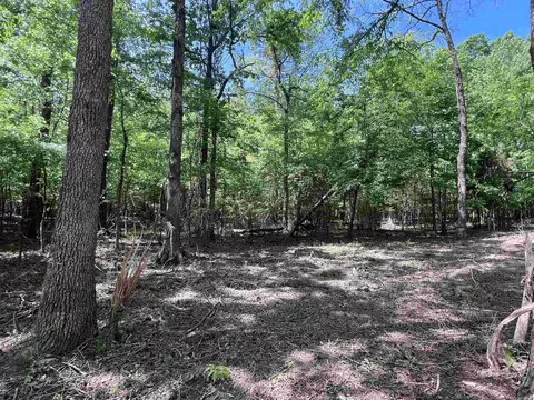 0 Kanis Rd, Paron, AR 72122 photo 4