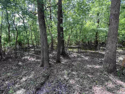 0 Kanis Rd, Paron, AR 72122 photo 9