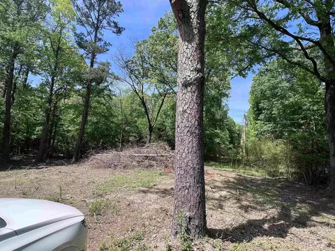 0 Kanis Rd, Paron, AR 72122 photo 3