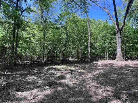 0 Kanis Rd, Paron, AR 72122 photo 5