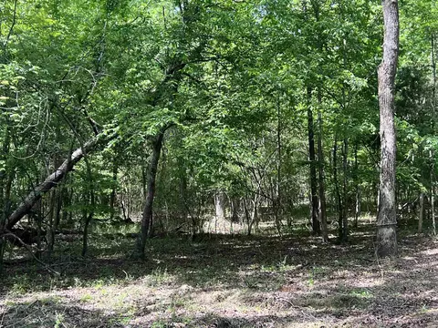 0 Kanis Rd, Paron, AR 72122 photo 6