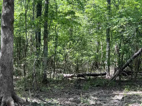 0 Kanis Rd, Paron, AR 72122 photo 7