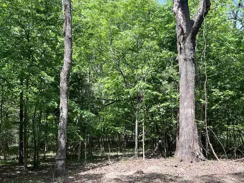 0 Kanis Rd, Paron, AR 72122 photo 8