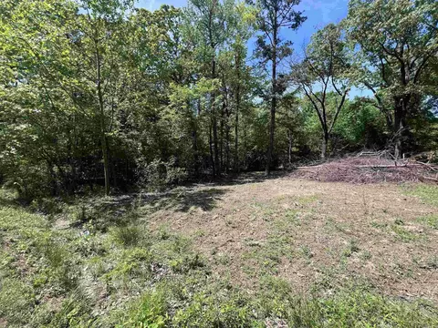 0 Kanis Rd, Paron, AR 72122 photo 2