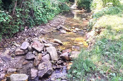 Other - 442 Riverview Trl, Norfork, AR 72658 photo 8 of 12