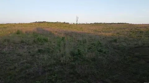 259-291 E Cr-18e Rd, Warren, AR 71671 photo 12