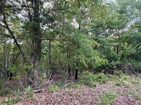 8 Jaguar Way, Hot Springs Village, AR 71909