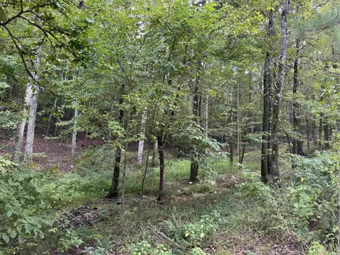17 Brilliante Ln, Hot Springs Village, AR 71909