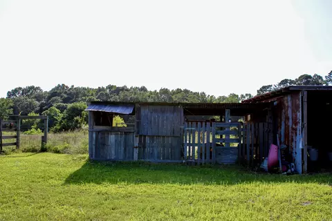 561 E Hwy 26, Murfreesboro, AR 71958 photo 29