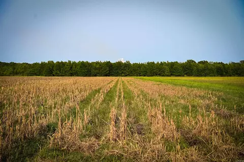 Other - 3599 Market St, Pine Bluff, AR 71601 photo 9 of 17