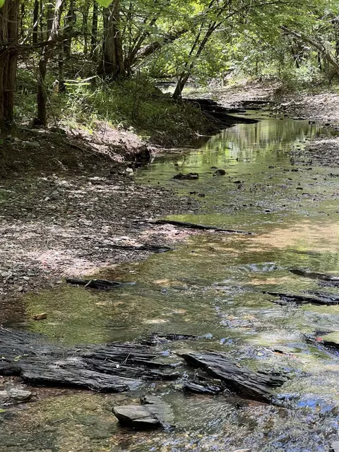 tbd Pleasant Pt, Mount Ida, AR 71957 photo 2