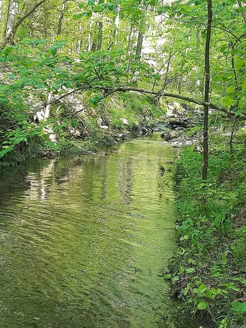 tbd Pleasant Pt, Mount Ida, AR 71957