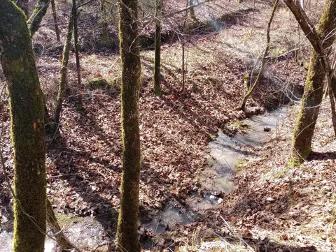 tbd Pleasant Pt, Mount Ida, AR 71957 photo 31