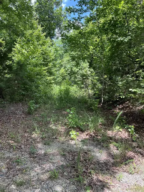 tbd Pleasant Pt, Mount Ida, AR 71957 photo 22