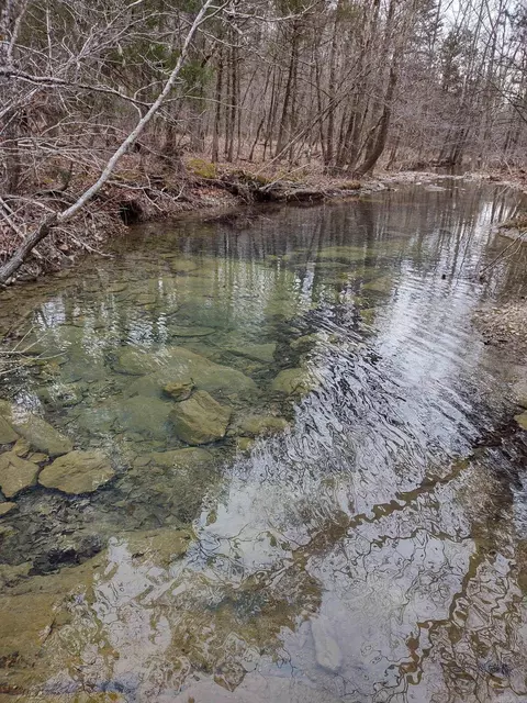 tbd Pleasant Pt, Mount Ida, AR 71957 photo 25