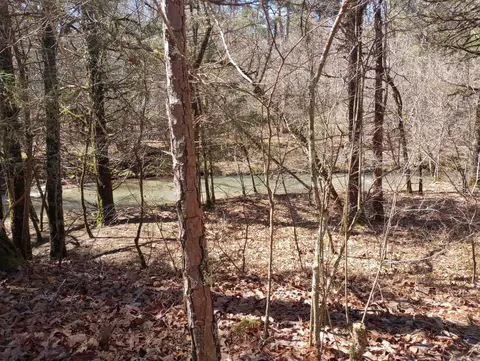 tbd Pleasant Pt, Mount Ida, AR 71957 photo 34