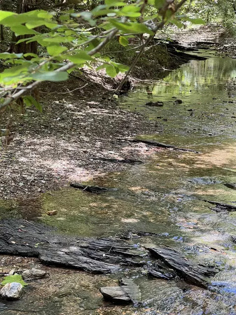 tbd Pleasant Pt, Mount Ida, AR 71957 photo 5