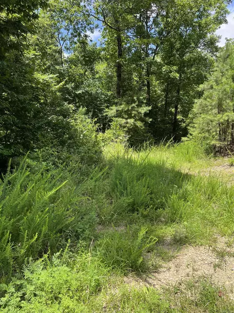 tbd Pleasant Pt, Mount Ida, AR 71957 photo 20