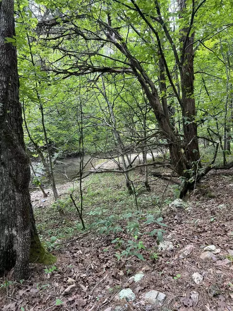 tbd Pleasant Pt, Mount Ida, AR 71957 photo 9