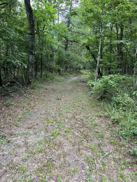 tbd Pleasant Pt, Mount Ida, AR 71957 photo 16