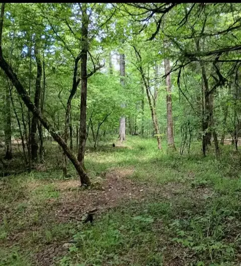 tbd Pleasant Pt, Mount Ida, AR 71957 photo 43