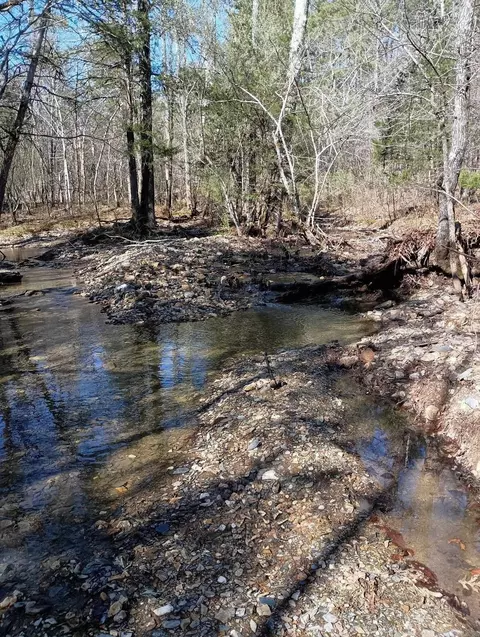 tbd Pleasant Pt, Mount Ida, AR 71957 photo 27