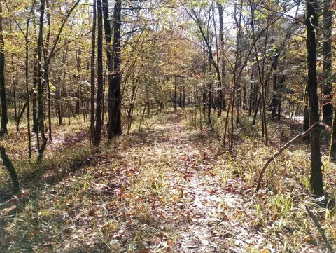 tbd Pleasant Pt, Mount Ida, AR 71957 photo 39