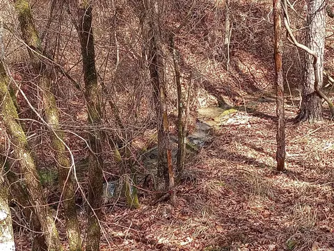 tbd Pleasant Pt, Mount Ida, AR 71957 photo 30