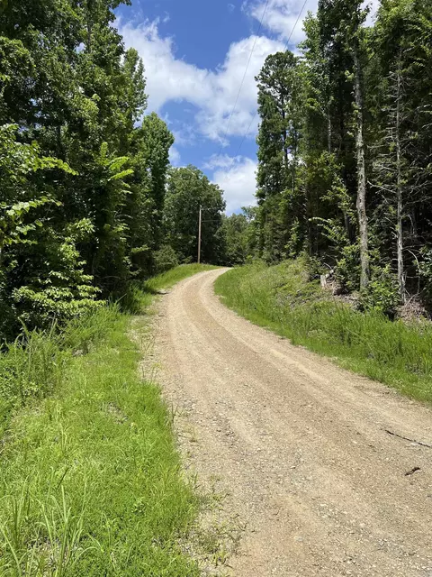 tbd Pleasant Pt, Mount Ida, AR 71957 photo 24