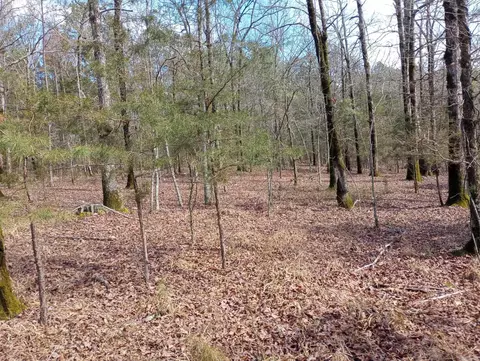 tbd Pleasant Pt, Mount Ida, AR 71957 photo 29