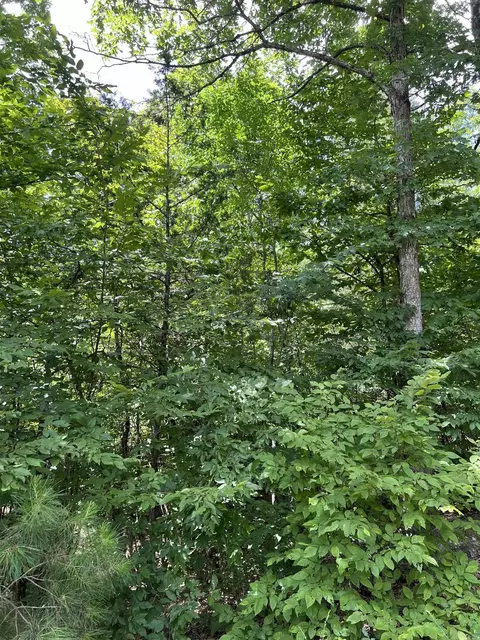 tbd Pleasant Pt, Mount Ida, AR 71957 photo 18