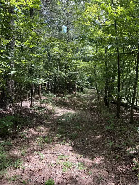 tbd Pleasant Pt, Mount Ida, AR 71957 photo 11