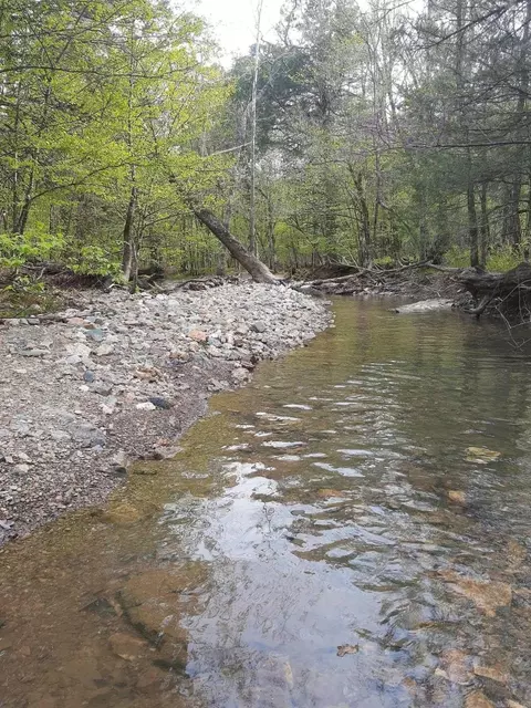tbd Pleasant Pt, Mount Ida, AR 71957 photo 35