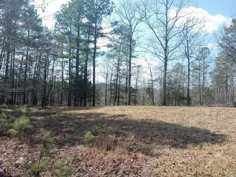 tbd Pleasant Pt, Mount Ida, AR 71957 photo 36
