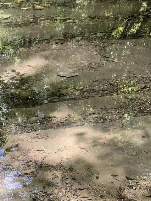 tbd Pleasant Pt, Mount Ida, AR 71957 photo 4