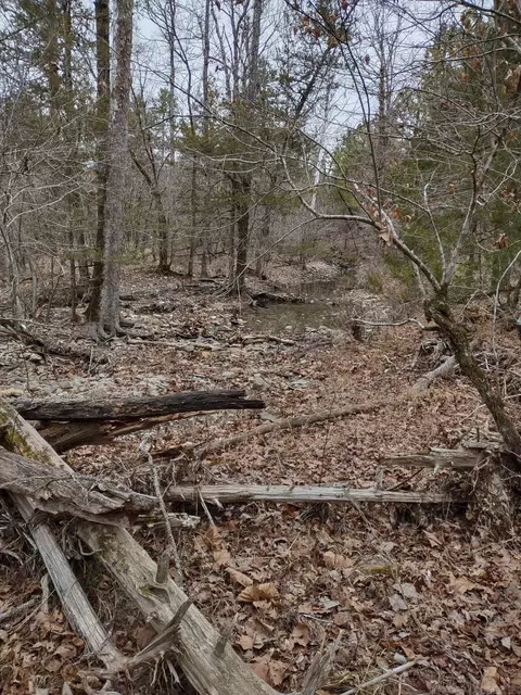 tbd Pleasant Pt, Mount Ida, AR 71957 photo 26