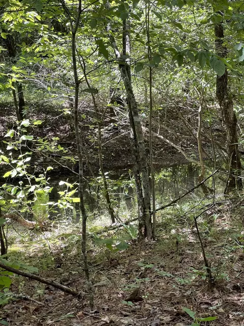 tbd Pleasant Pt, Mount Ida, AR 71957 photo 3