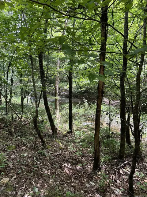 tbd Pleasant Pt, Mount Ida, AR 71957 photo 13