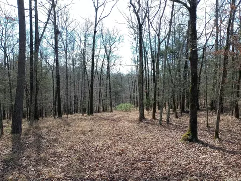 tbd Pleasant Pt, Mount Ida, AR 71957 photo 28