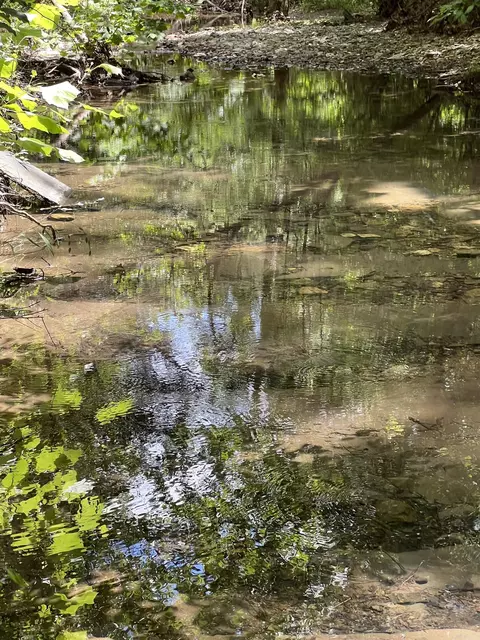 tbd Pleasant Pt, Mount Ida, AR 71957 photo 6