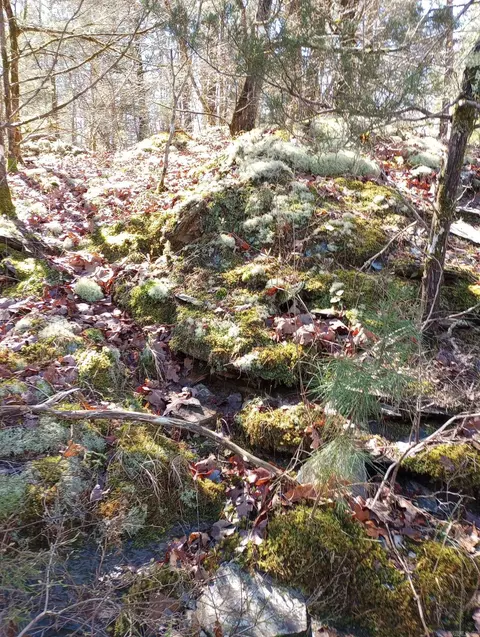 tbd Pleasant Pt, Mount Ida, AR 71957 photo 33
