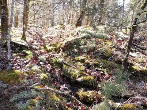tbd Pleasant Pt, Mount Ida, AR 71957 photo 32