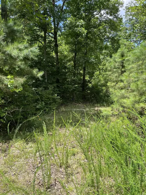 tbd Pleasant Pt, Mount Ida, AR 71957 photo 23