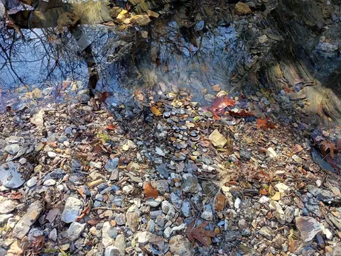 tbd Pleasant Pt, Mount Ida, AR 71957 photo 41