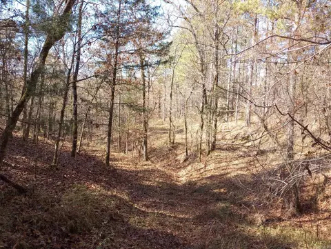 tbd Pleasant Pt, Mount Ida, AR 71957 photo 40