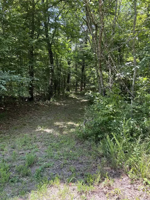 tbd Pleasant Pt, Mount Ida, AR 71957 photo 15